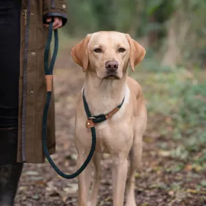 Dog Leads - Forest