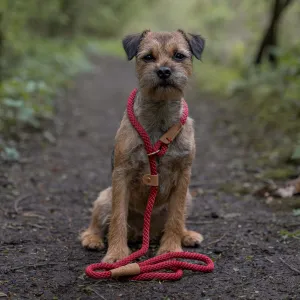 Dog Leads - Rosehip
