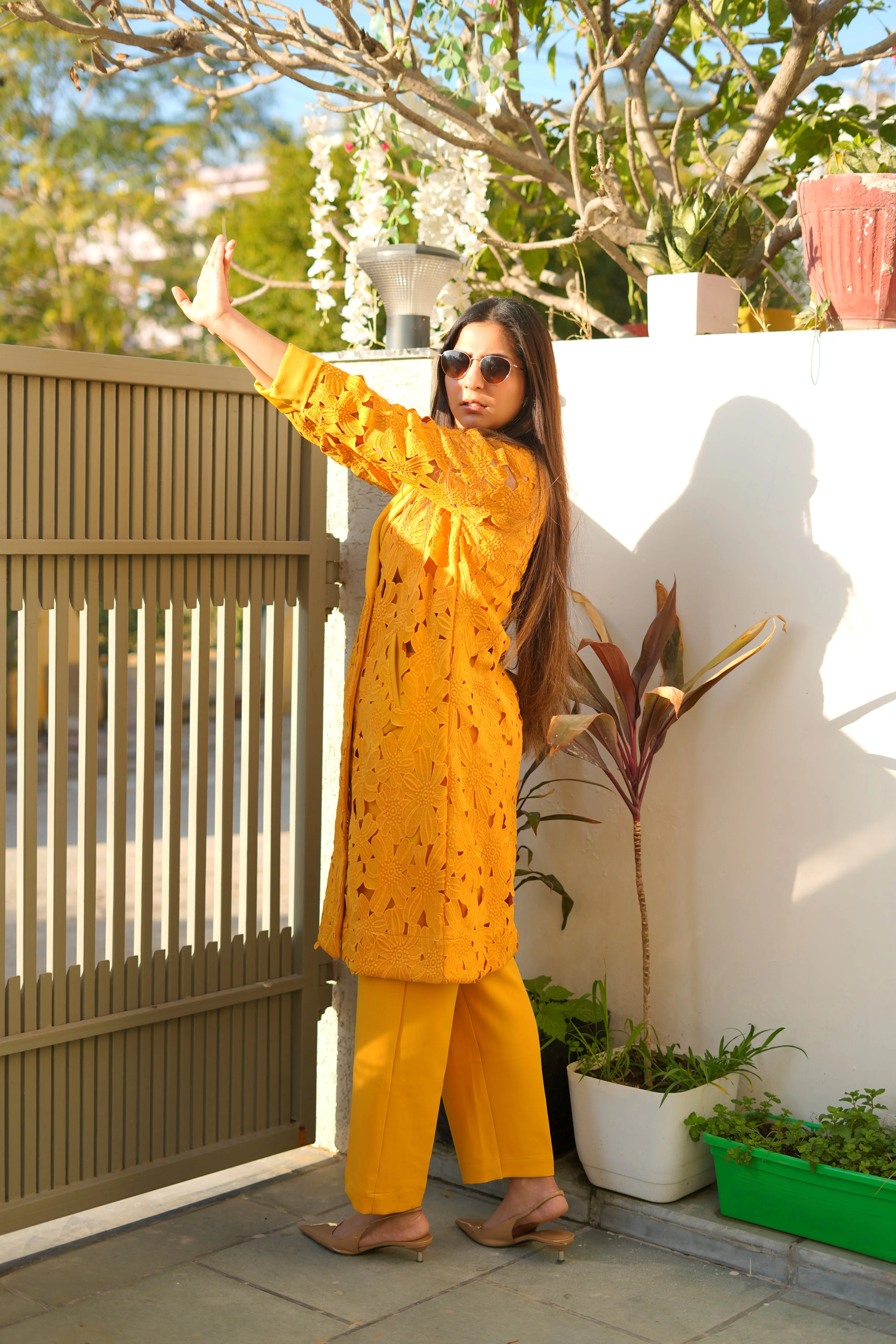 Guvava papaya coord