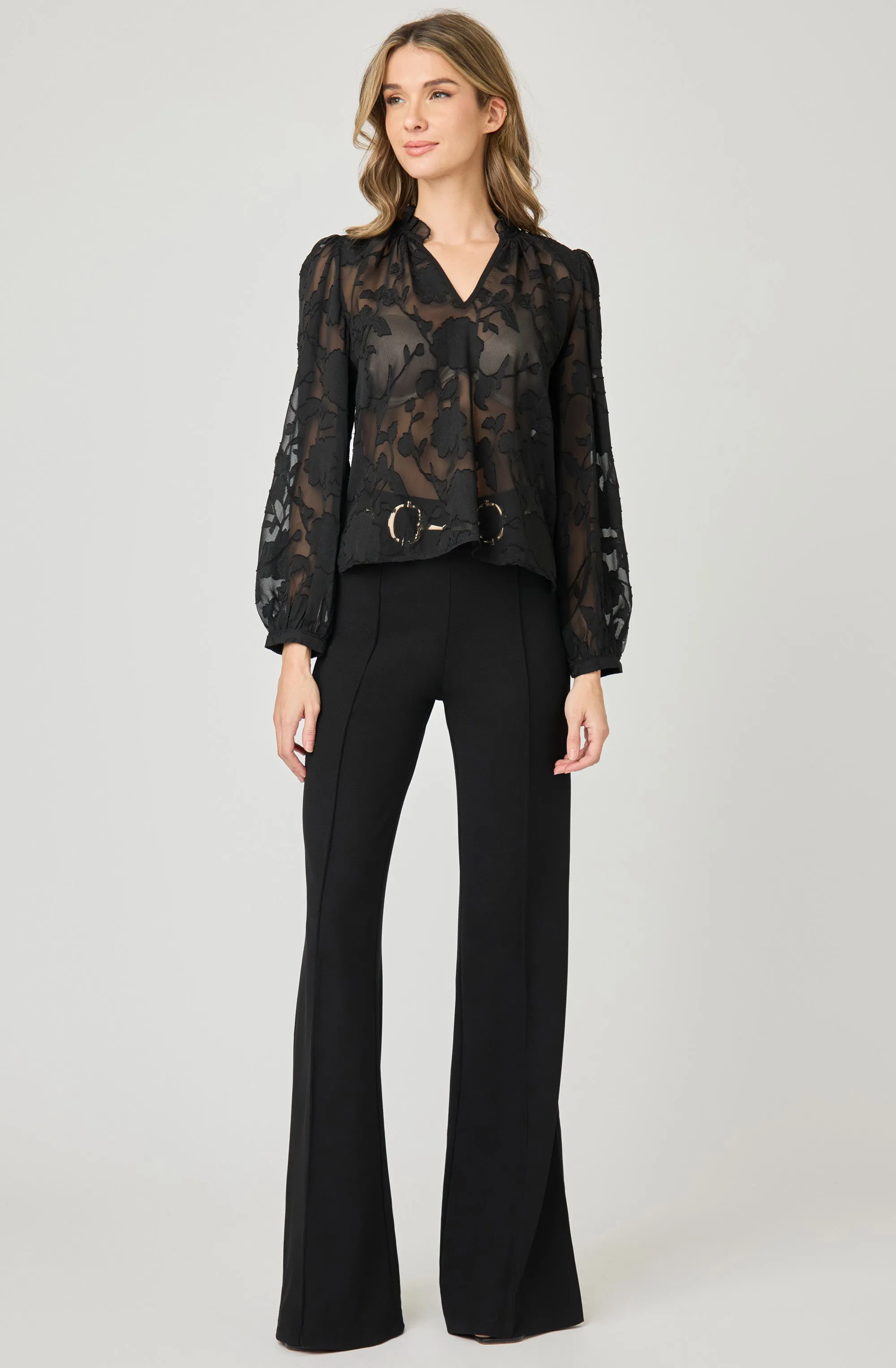 Long Sleeve Organza Blouse