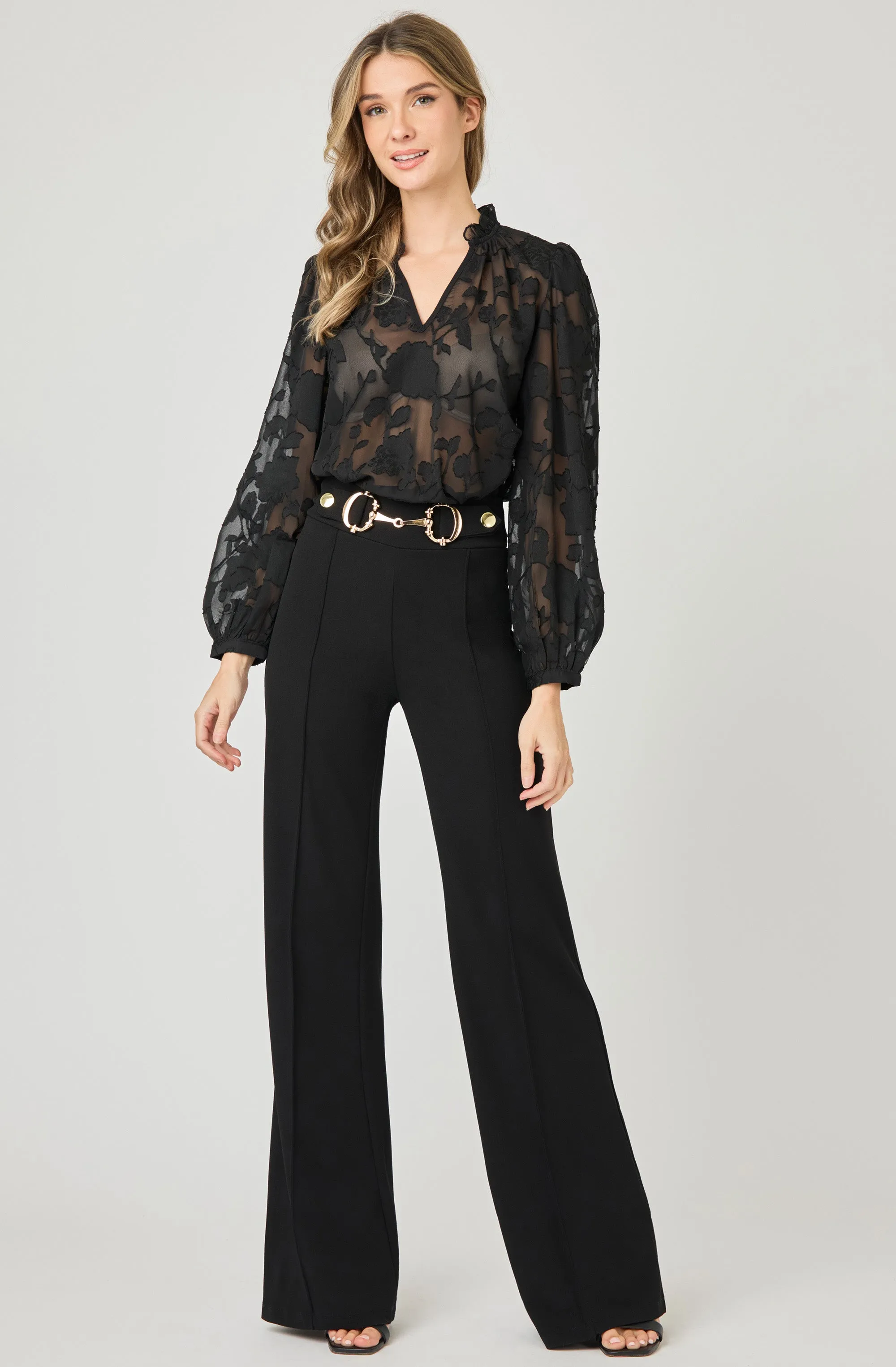 Long Sleeve Organza Blouse
