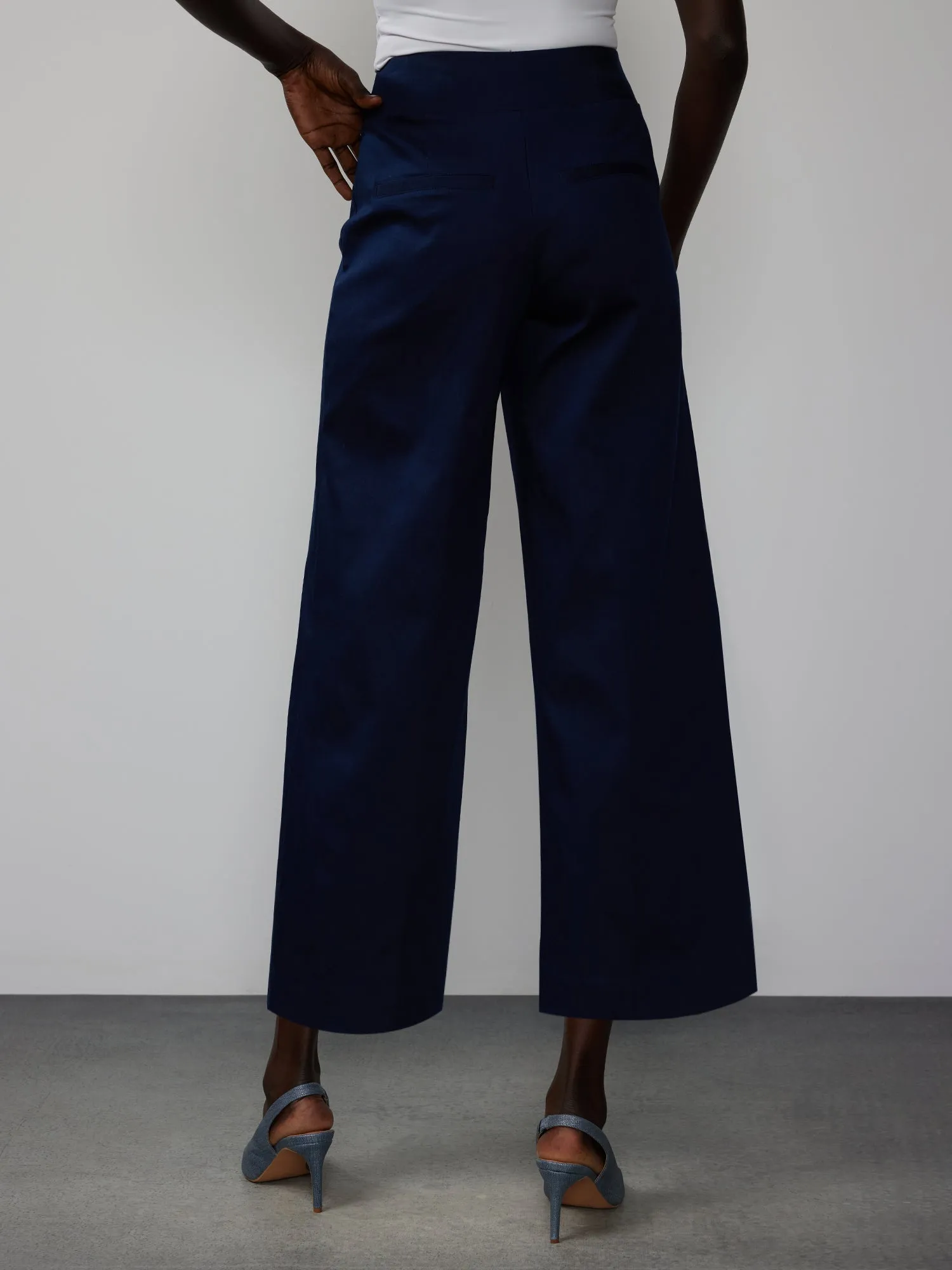 Petite Pull On Wide Leg Ankle Pant