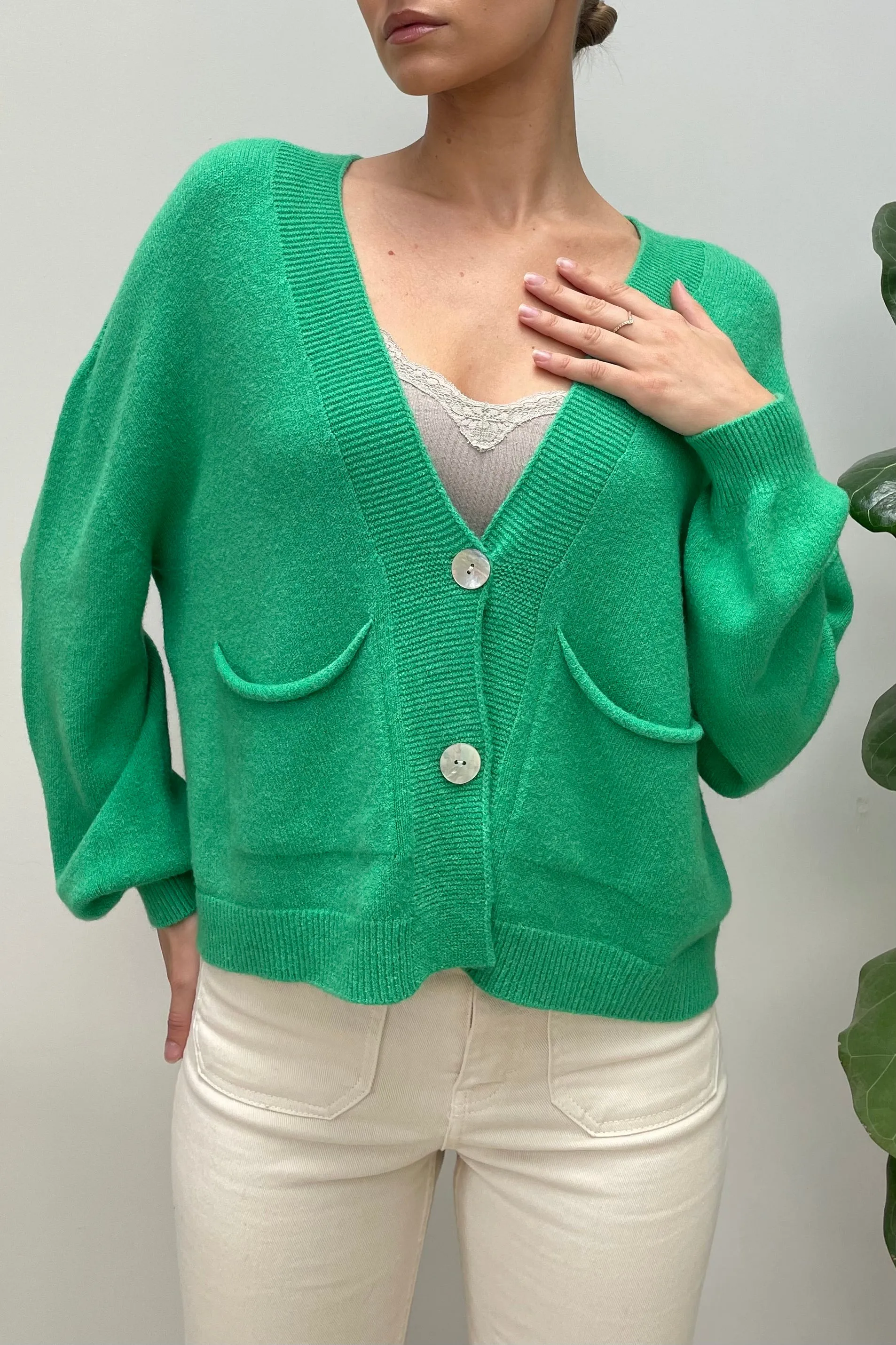 Roxy Cardie